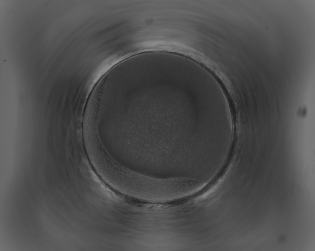 X0000091511529200708241619