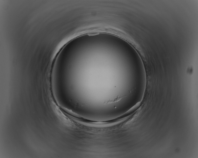 X0000091511530200708241619