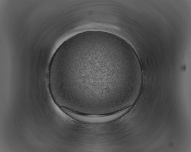 X0000091511531200708241619