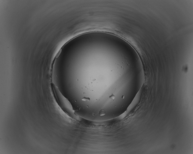 X0000091511532200708241619