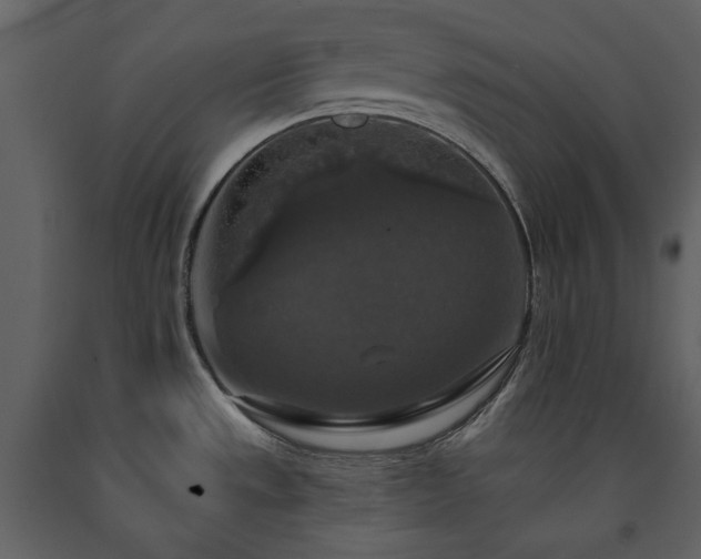 X0000091511533200708241619