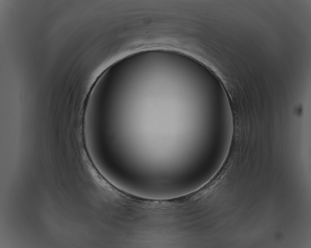 X0000091511534200708241619