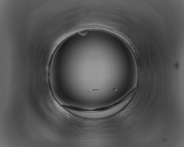 X0000091511535200708241619