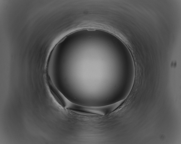 X0000091511536200708241619