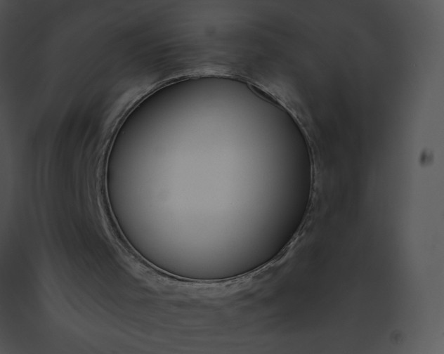 X0000091510001200708311237