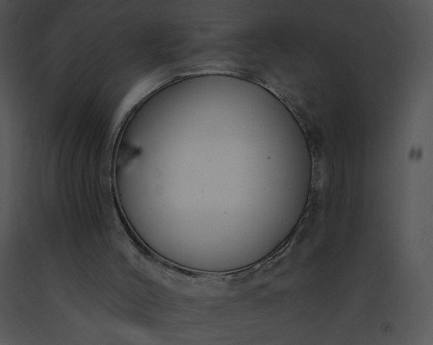 X0000091510004200708311237