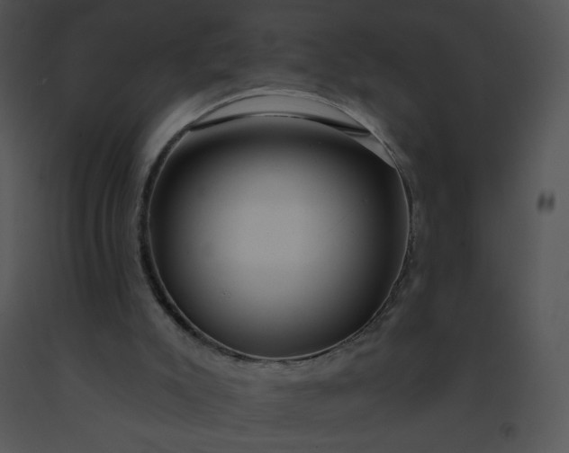 X0000091510007200708311237