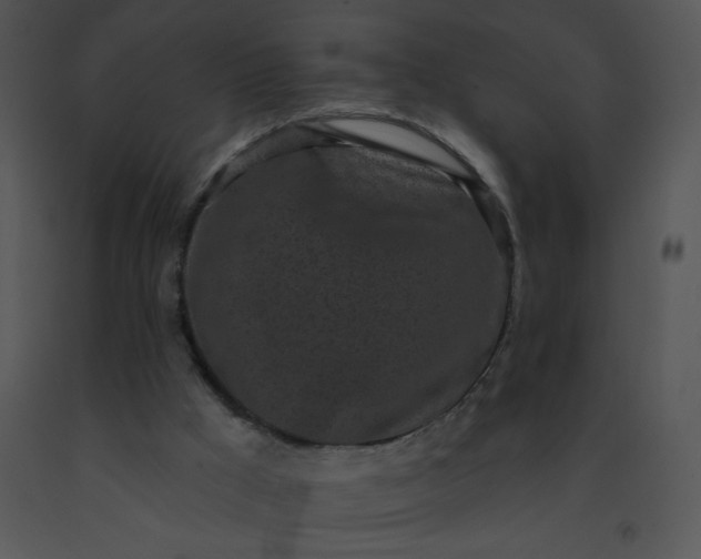 X0000091510009200708311237