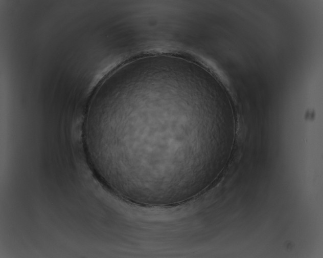 X0000091510010200708311237