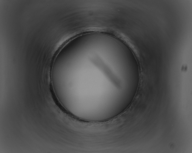 X0000091510011200708311237