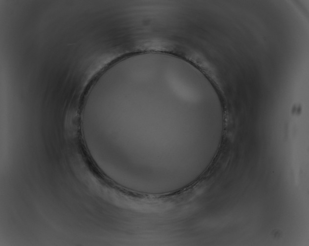 X0000091510012200708311237