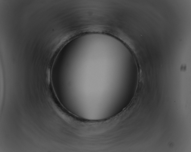 X0000091510013200708311237