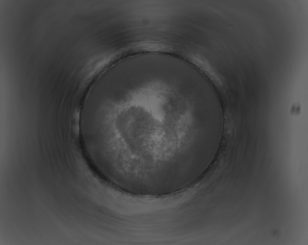 X0000091510014200708311237