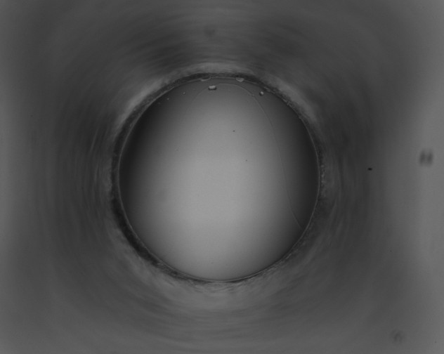 X0000091510015200708311237