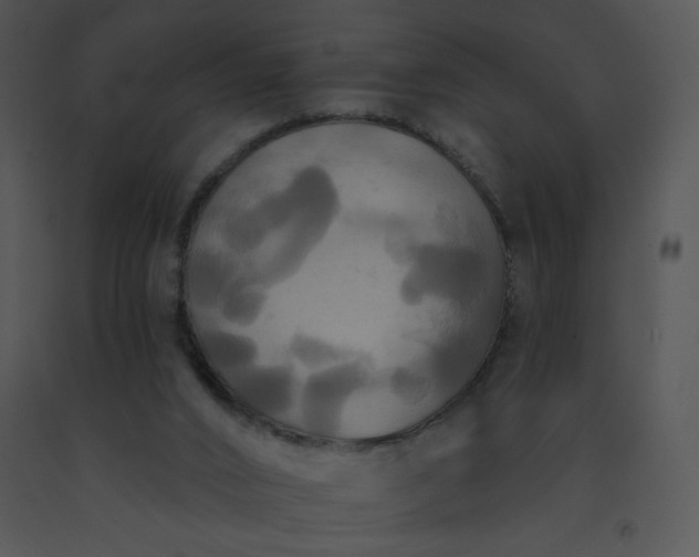 X0000091510016200708311237