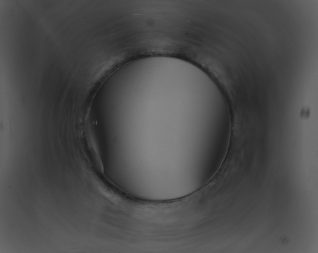 X0000091510017200708311236