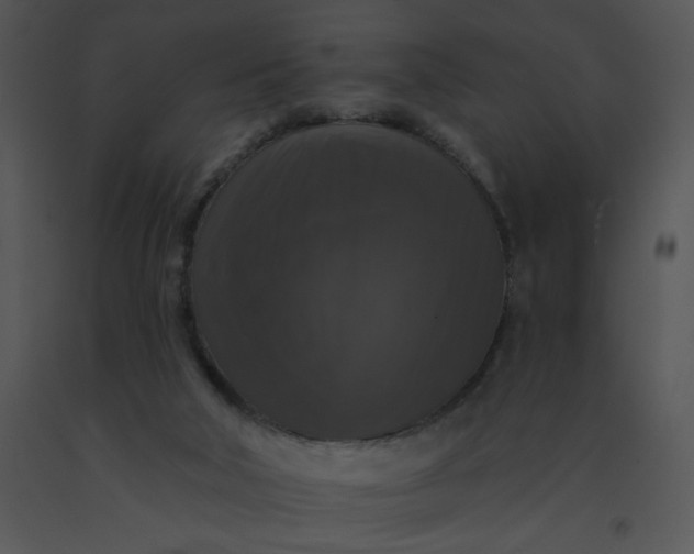 X0000091510018200708311236