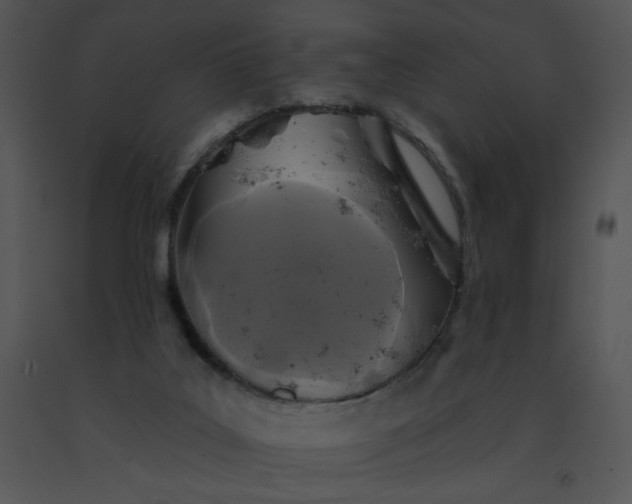 X0000091510019200708311236