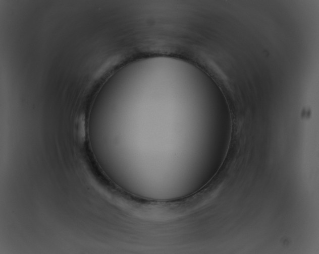 X0000091510020200708311236