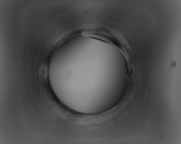 X0000091510021200708311236