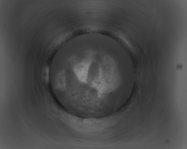 X0000091510022200708311236