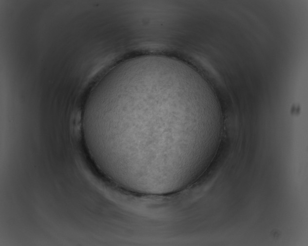 X0000091510024200708311236