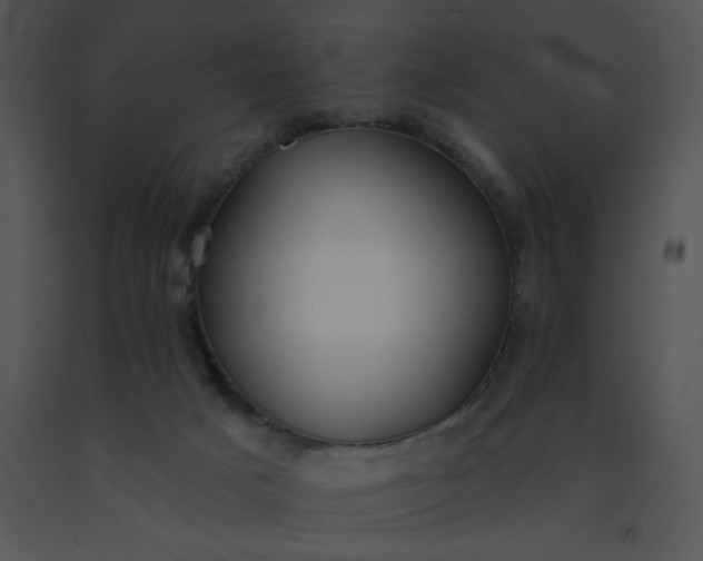 X0000091510025200708311236