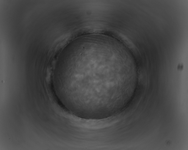 X0000091510026200708311236