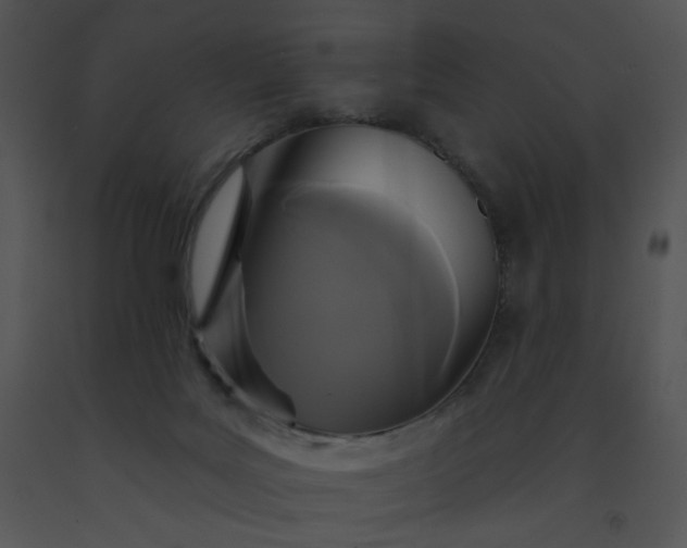 X0000091510027200708311236