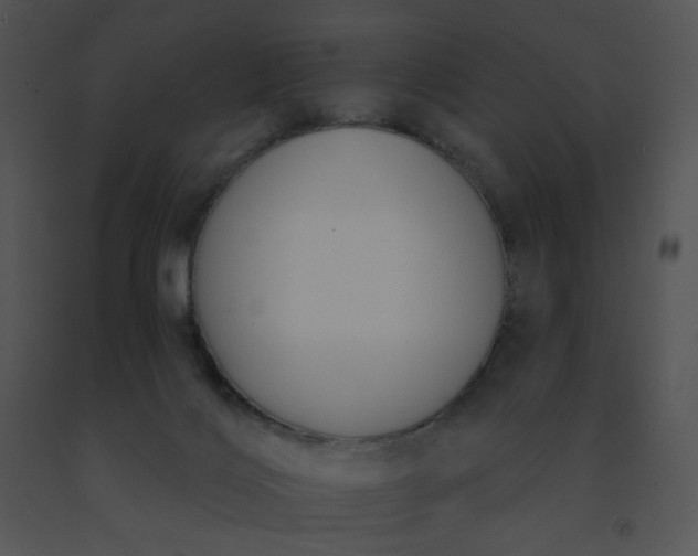 X0000091510028200708311236