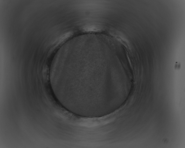 X0000091510029200708311236