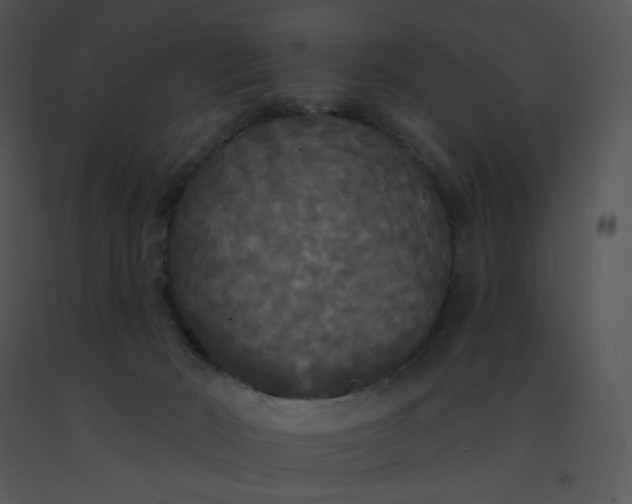 X0000091510030200708311236