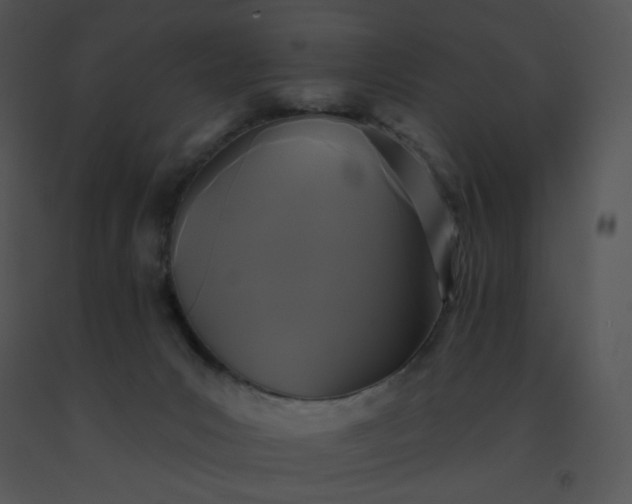 X0000091510031200708311236