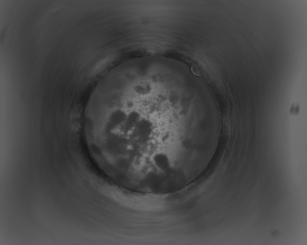 X0000091510032200708311236