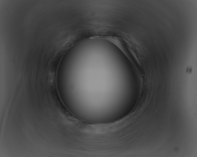 X0000091510033200708311236