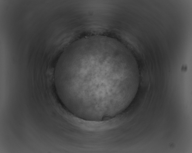 X0000091510034200708311236