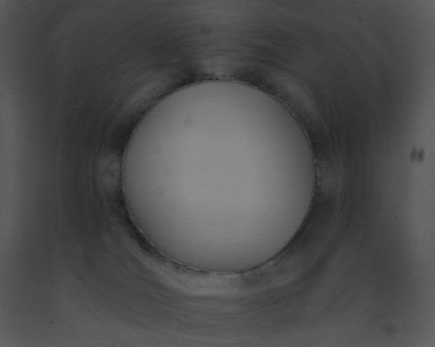 X0000091510036200708311236