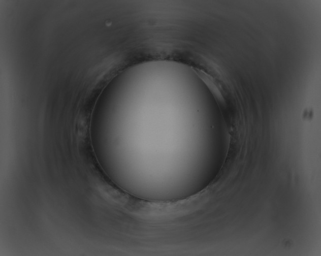 X0000091510037200708311236