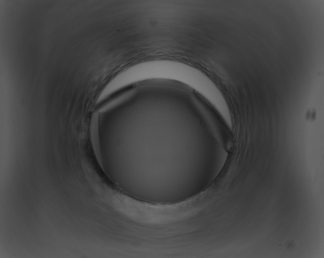 X0000091510039200708311236