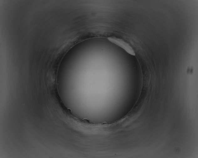 X0000091510040200708311236