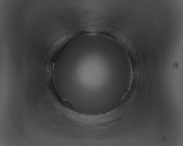 X0000091510043200708311236