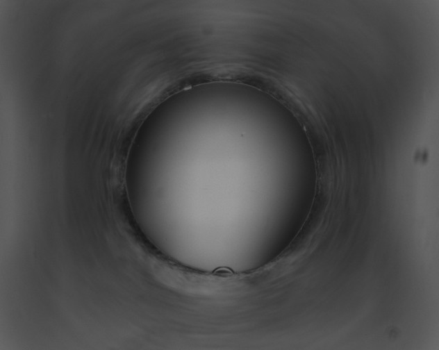 X0000091510044200708311236