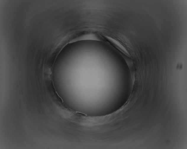 X0000091510045200708311236