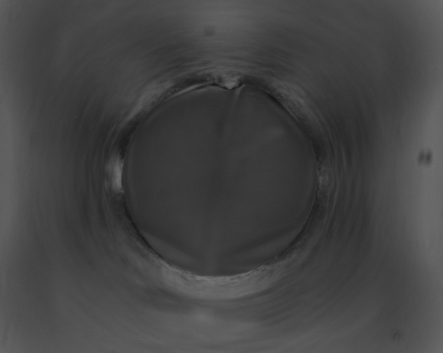 X0000091510046200708311236