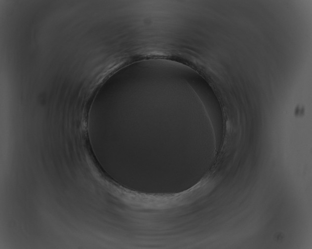 X0000091510048200708311236