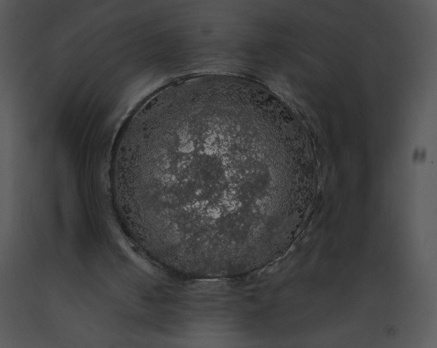 X0000091510050200708311235