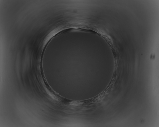 X0000091510051200708311235