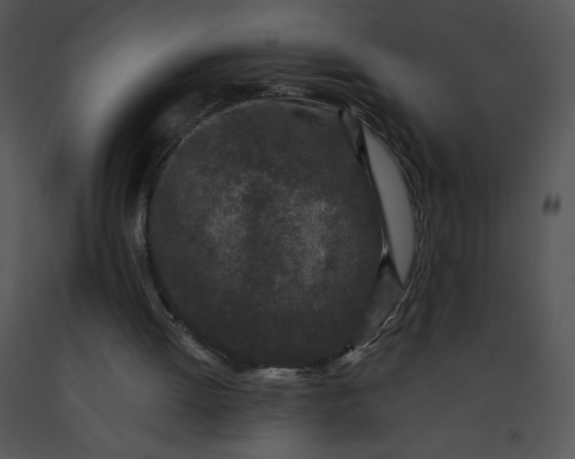 X0000091510052200708311235