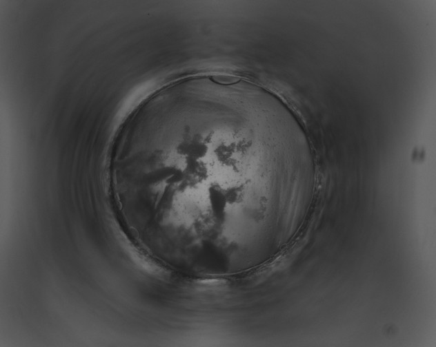 X0000091510053200708311235