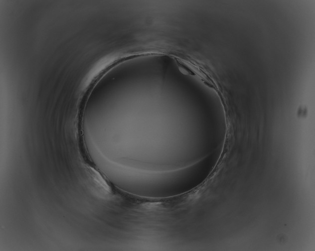 X0000091510054200708311235